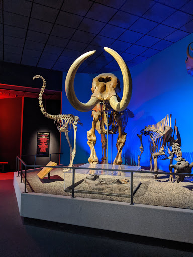 Imax Theater «The National Geographic Dome Theater & Daniel M. Soref Planetarium», reviews and photos, 800 W Wells St, Milwaukee, WI 53233, USA