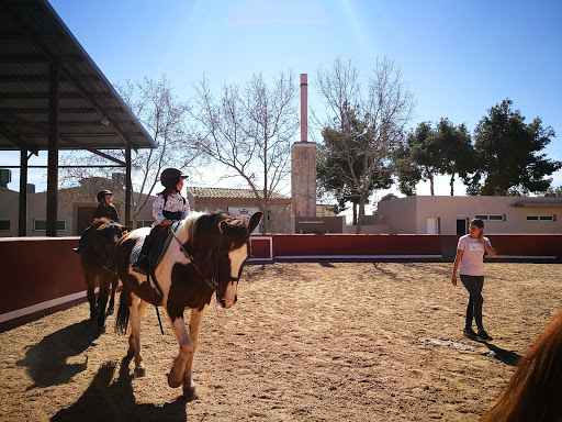 Hípica Restaurante -Dehesa Monteandres