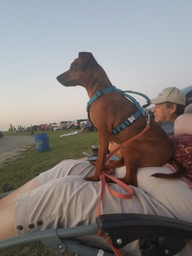 Drive-in Movie Theater «Blue Grass Drive-In Theater», reviews and photos, 774 W Mayne St, Blue Grass, IA 52726, USA