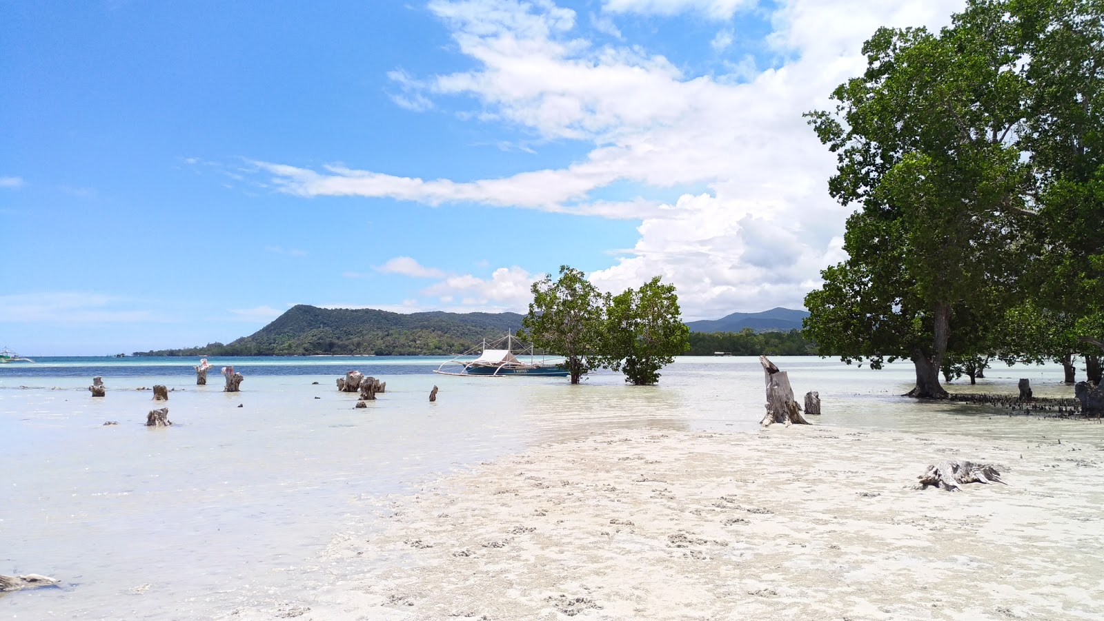 Puting Buhangin Beach'in fotoğrafı #43 ile birlikte