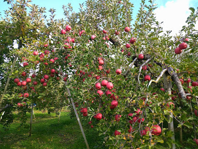 りんごとぶどうのカネキューフルーツ園