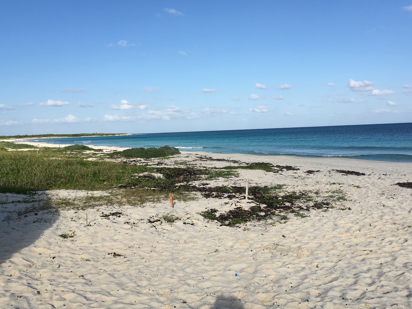 Photo de Ixpalbarco Beach zone sauvage