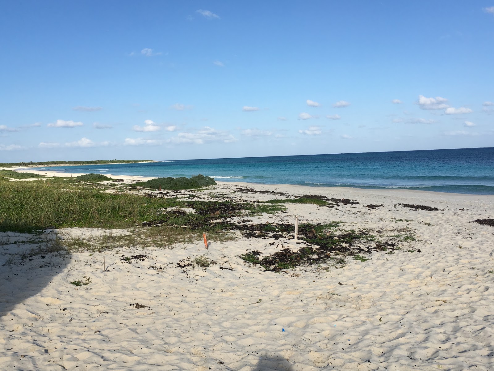 Foto de Ixpalbarco Beach com meios de comunicação nível de limpeza