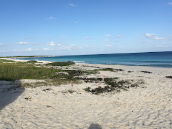 Photo de Ixpalbarco Beach zone sauvage