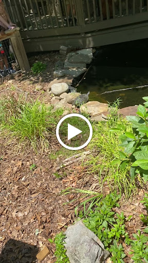 Nature Preserve «Blue Heron Nature Preserve», reviews and photos, 4055 Roswell Rd NE, Atlanta, GA 30342, USA