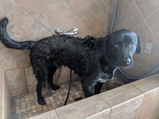 Pet Supply Store «Pet Valu», reviews and photos, 3491 Merchant Boulevard, Abingdon, MD 21009, USA