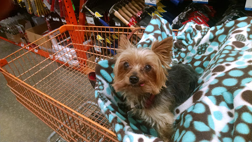 Home Improvement Store «The Home Depot», reviews and photos, 200 Altama Connector, Brunswick, GA 31520, USA