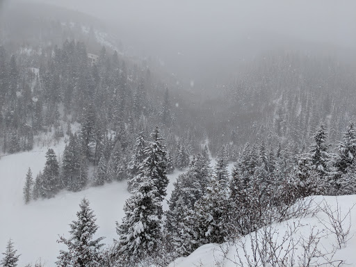 Golf Club «EagleVail Golf Club», reviews and photos, 459 Eagle Drive, Avon, CO 81620, USA