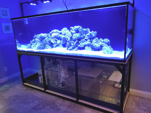 Tropical Fish Store «LE Corals Saltwater Aquarium Showroom», reviews and photos, 3414 S 48th St #2, Phoenix, AZ 85040, USA