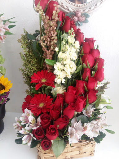 Great Detail – Colima