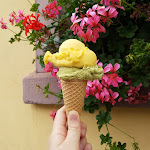 Photo n°1 de l'avis de Lizzy.o fait le 18/07/2021 à 20:26 sur le  Eispavillon, Bistro u. Café Roth à Mespelbrunn