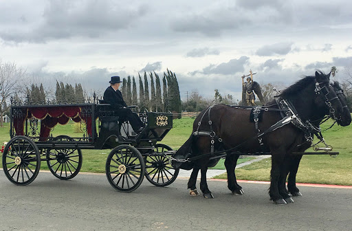 Dream Catchers Carriages