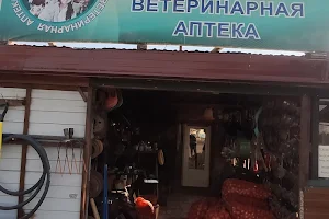 Veterinarnaya Apteka Aybolit image