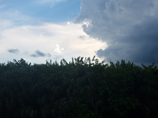 Coffee Shop «Starbucks», reviews and photos, 7351 Shoppes Dr, Melbourne, FL 32940, USA