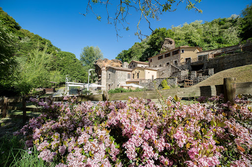 Calabrialcubo Agriturismo in Nocera Terinese, Provincia di Catanzaro