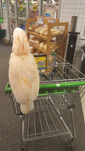 Supermarket «Publix Super Market at The Centre at Woodstock», reviews and photos, 12165 GA-92, Woodstock, GA 30188, USA