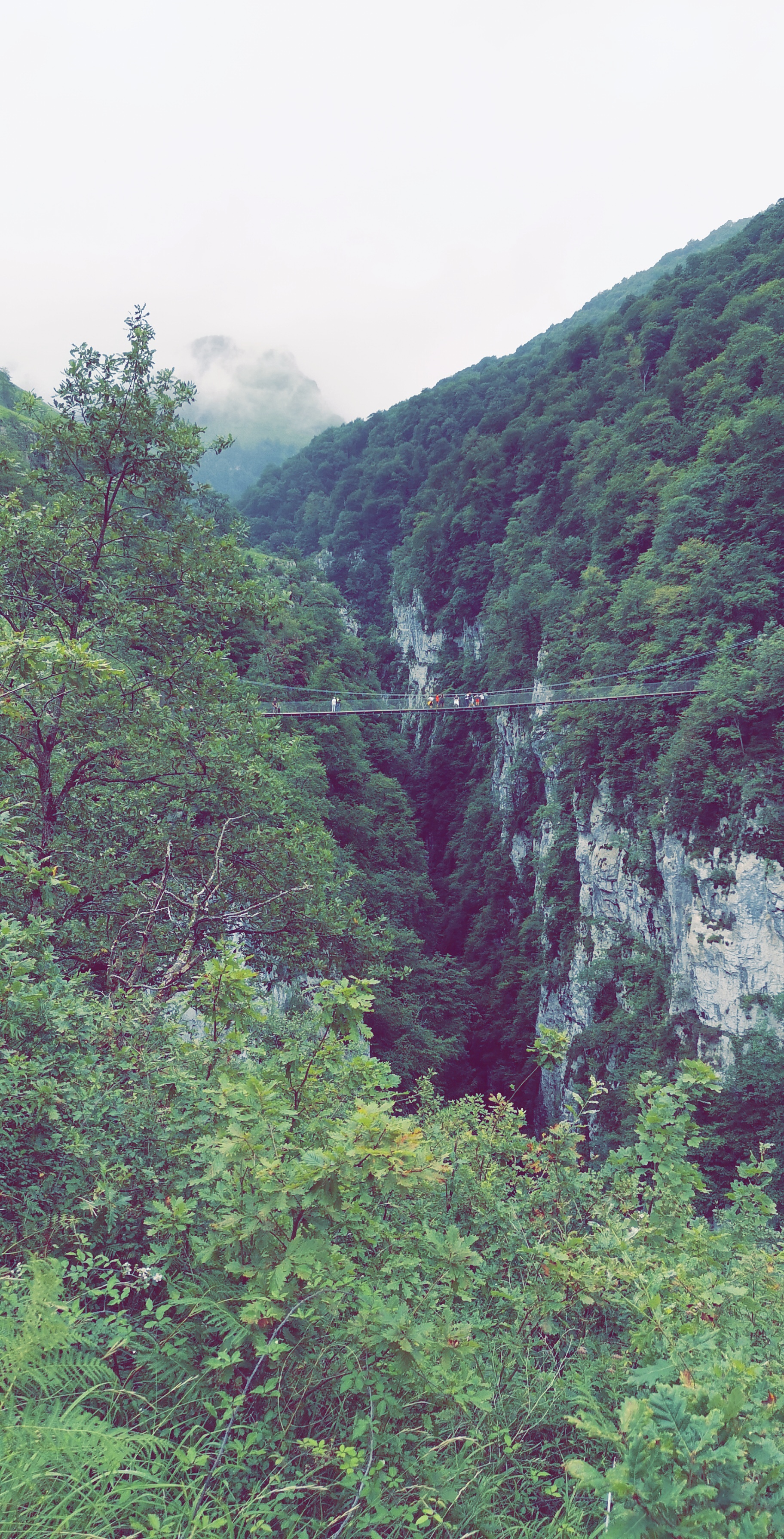 Photo n° 6 de l'avis de Léonard.R fait le 20/08/2019 à 20:57