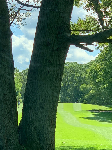 Golf Course «Rolling Oaks Golf Course», reviews and photos, 181 NY-25A, Rocky Point, NY 11778, USA