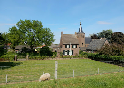 Niftrik