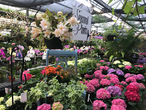 Hardware Store «Proctor Ace Hardware», reviews and photos, 1281 Atlantic Blvd, Neptune Beach, FL 32266, USA