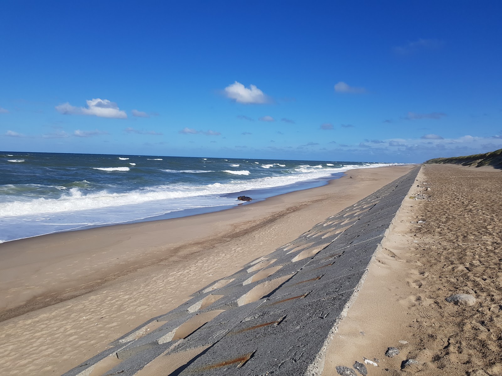 Fotografija Vejlby Klit Beach z svetel pesek površino