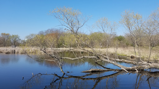 Nature Preserve «Lincoln Marsh», reviews and photos, Harrison Ave & Pierce Ave, Wheaton, IL 60187, USA