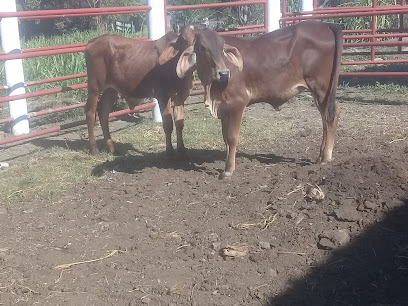 Rancho Campo Sagrado Huamuchapa Guerrero