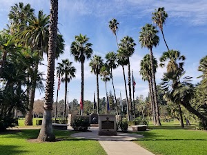 Lacy Park - photo 2