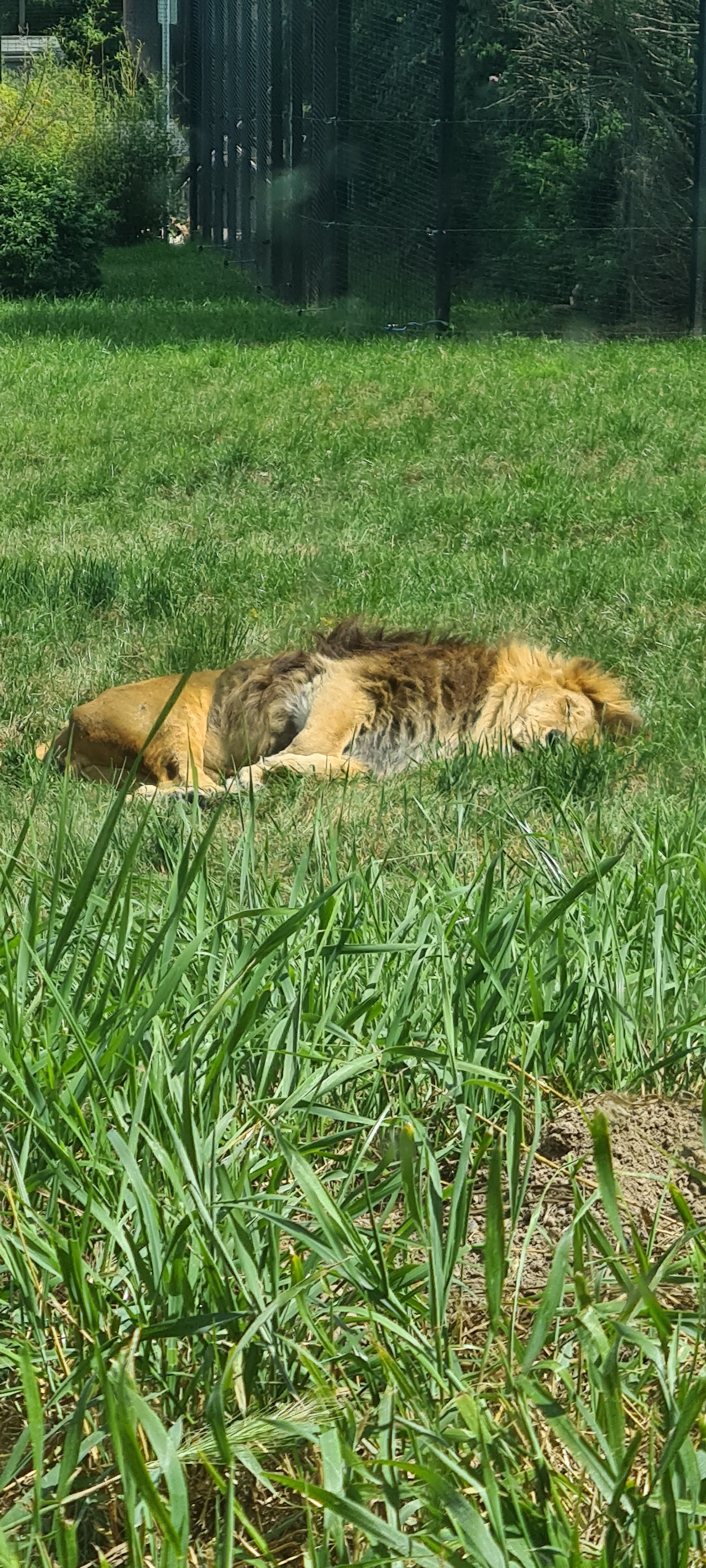 Photo n° 1 de l'avis de Léa.i fait le 28/07/2021 à 13:57