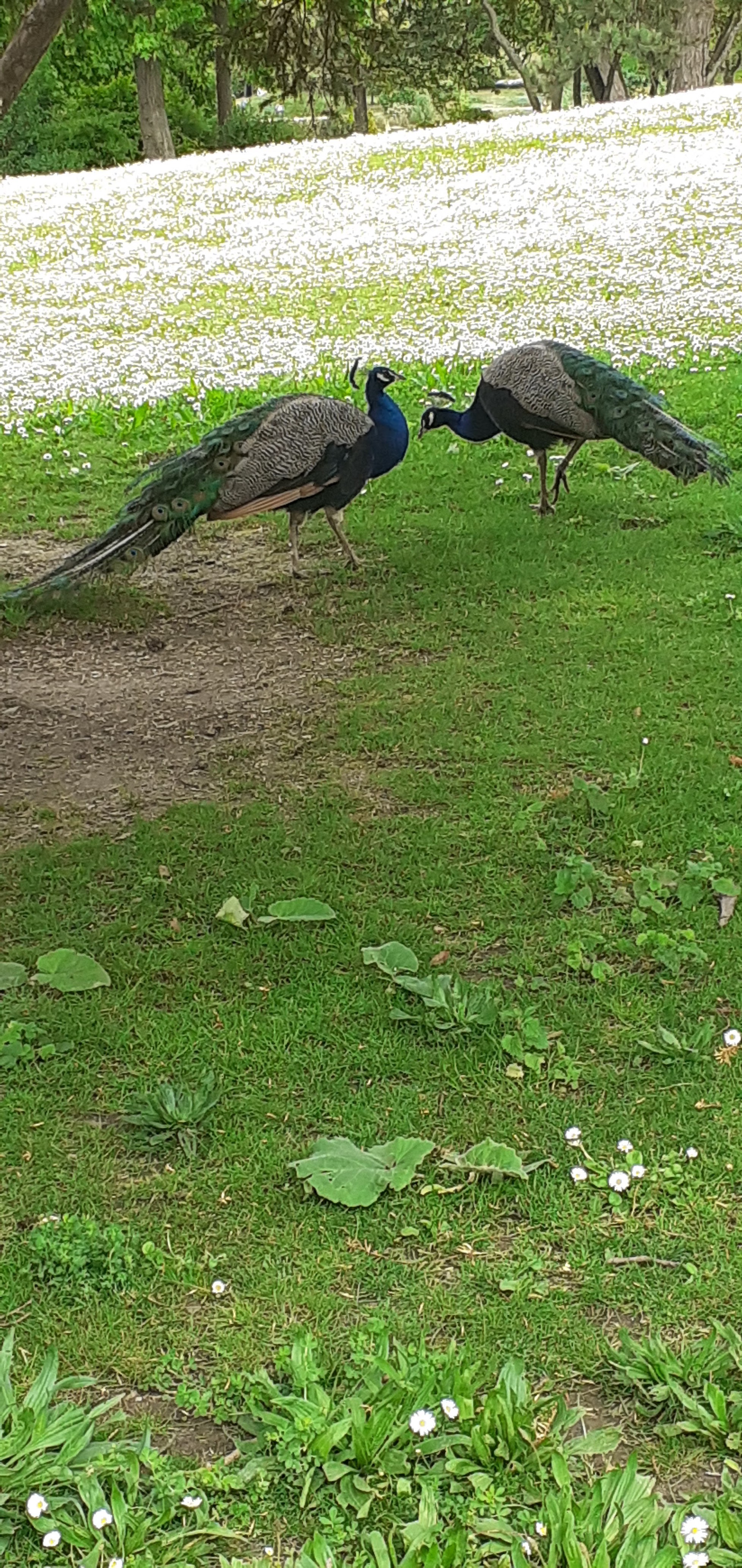 Photo n° 3 de l'avis de christopher.o fait le 20/10/2023 à 14:36