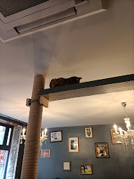 Photo n°142 de Le Café des Chats à Paris ()