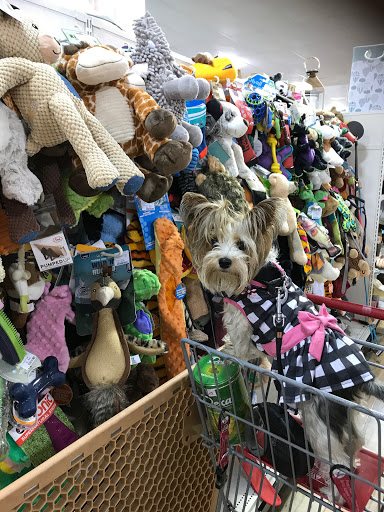 Furniture Store «HomeGoods», reviews and photos, 501 Town Centre Dr, Glen Mills, PA 19342, USA