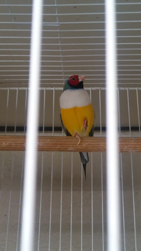 Pet Store «Alpha Pro Pets», reviews and photos, 2256 OH-59, Kent, OH 44240, USA