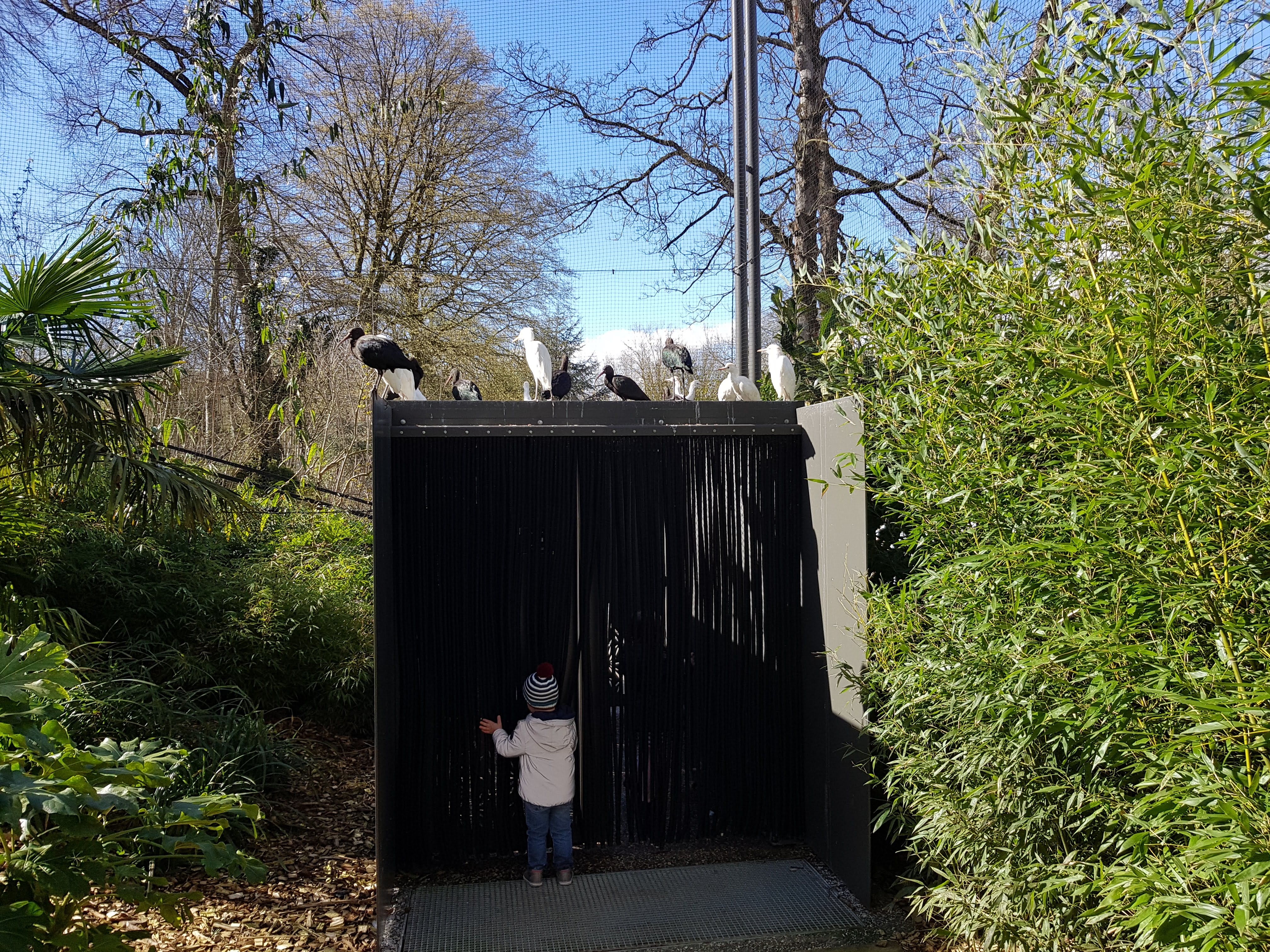 Photo n° 4 de l'avis de Charbel.l fait le 17/03/2019 à 23:45