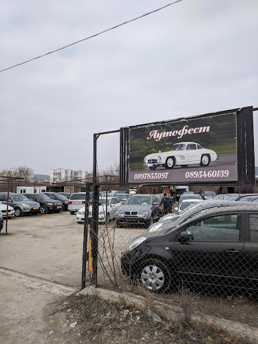 Отзиви за Autofest Car Dealership Varna в Варна - Търговец на автомобили