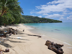 Tri Trang Beach'in fotoğrafı geniş ile birlikte