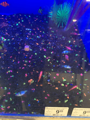 Pet Supply Store «PetSmart», reviews and photos, 3081 S 5600 W, Salt Lake City, UT 84120, USA