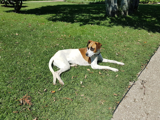 Avaliações doAlto Belo em Felgueiras - Hotel