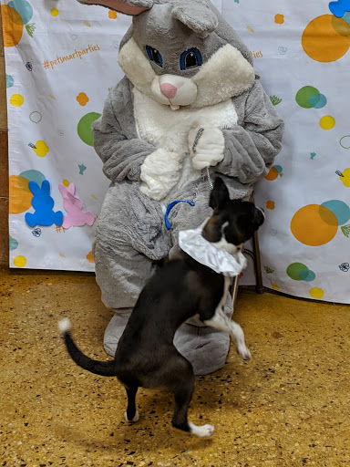 Pet Supply Store «PetSmart», reviews and photos, 1110 NY-112, Port Jefferson Station, NY 11776, USA