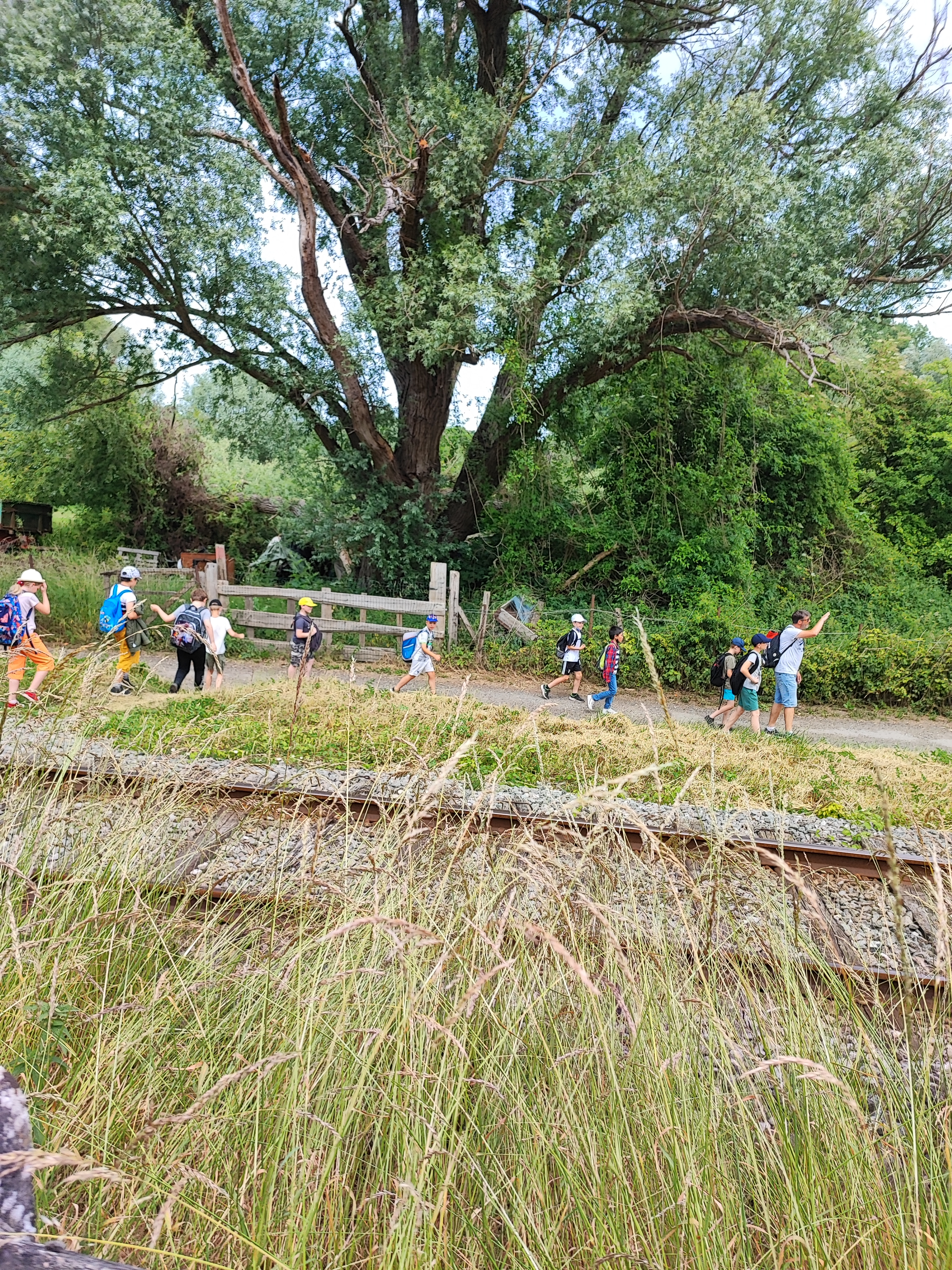 Photo n° 2 de l'avis de séverine. fait le 29/06/2022 à 20:47