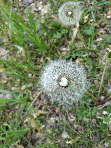 Park «Creekview Park», reviews and photos, 5001 Humboldt Ave N, Minneapolis, MN 55430, USA