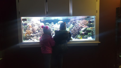 Aquarium «Marine EXTREMES», reviews and photos, 6257 E 21st St N, Wichita, KS 67208, USA