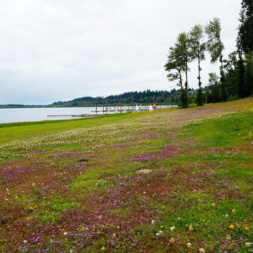 Public Golf Course «Lakeview Par 3 Golf Challenge», reviews and photos, 2425 NW 69th St, Vancouver, WA 98665, USA