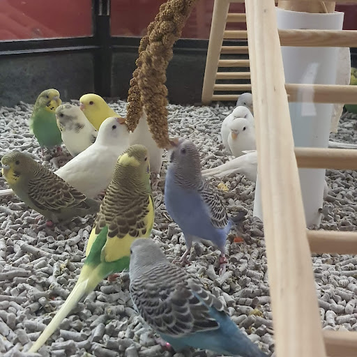 Pet Supply Store «Petco Animal Supplies», reviews and photos, 1209 New Brunswick Ave, Phillipsburg, NJ 08865, USA