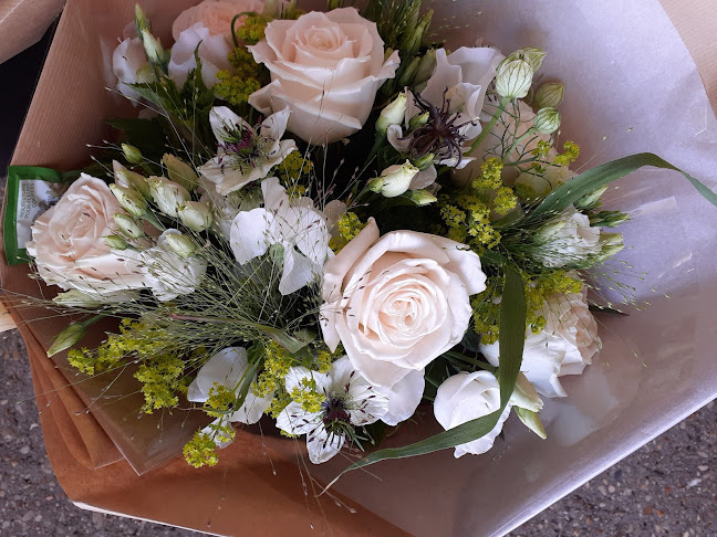 A la Fontaine Fleurie - Massy