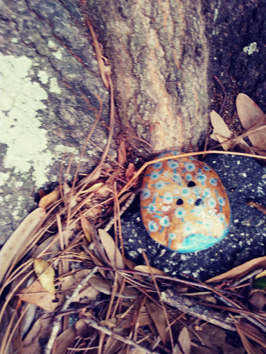 Park «John S. Taylor Park», reviews and photos, 1100 8th Ave SW, Largo, FL 33770, USA