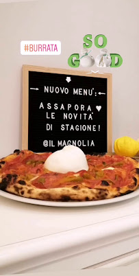 Il Magnolia à Francavilla al Mare menu