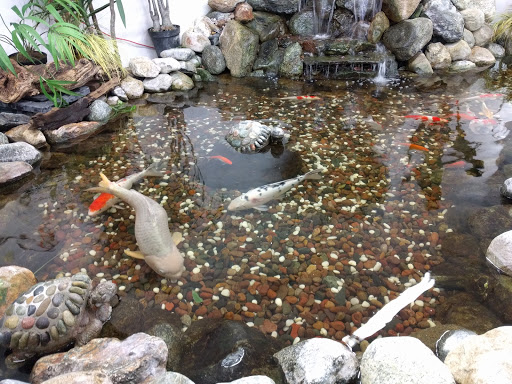 Pet Supply Store «Global Aquatics & Pet Supplies», reviews and photos, 1420 S Carlos Ave, Ontario, CA 91761, USA