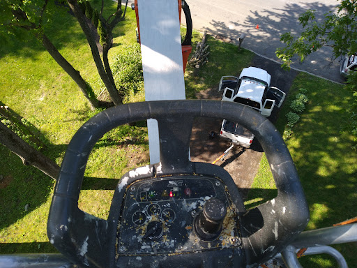 Auto Parts Store «Advance Auto Parts», reviews and photos, 59 N Plank Rd #1, Newburgh, NY 12550, USA