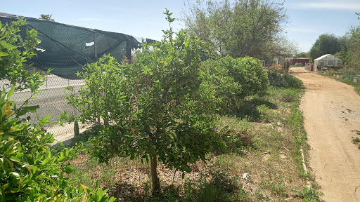 Museum «Heritage Museum of Orange County», reviews and photos, 3101 W Harvard St, Santa Ana, CA 92704, USA